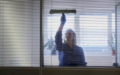 How Often Should You Clean Your Windows?