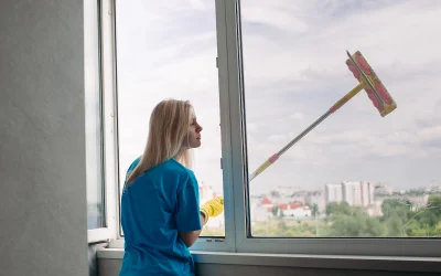 What Are the Benefits of Hiring a Professional Window Cleaner Before Winter?